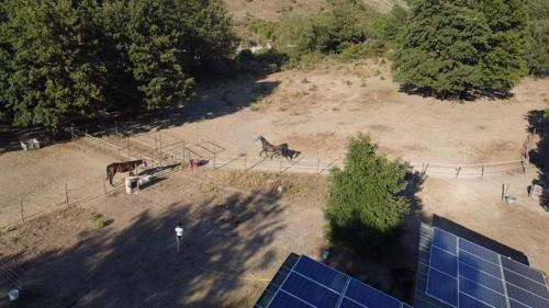 Santa Fiora House | Agriturismo In Campagna