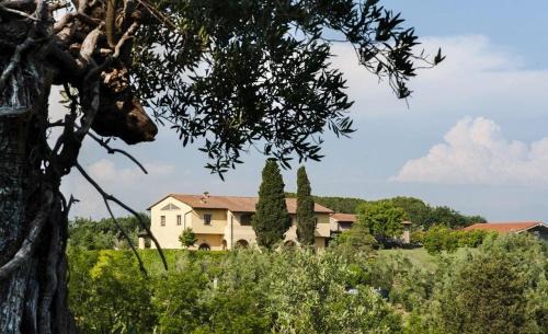 Peccioli House | Agriturismo L'Antica Fornace