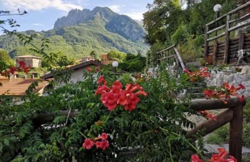 Minucciano House | Agriturismo La Calamaia