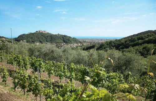 Luni House | Agriturismo La Sarticola