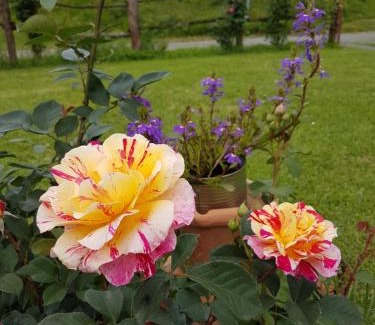 Masero House | Agriturismo La Selva