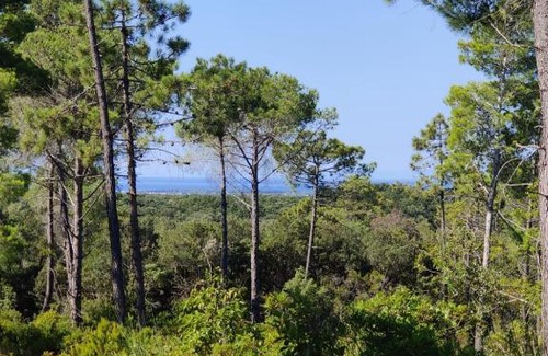 Riparbella House | Agriturismo Le Pellicce