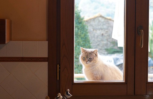 Toiano Other | Agriturismo Podere le Tombe