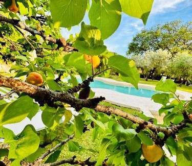 Gavorrano Apartment | Agriturismo Podere Valdo