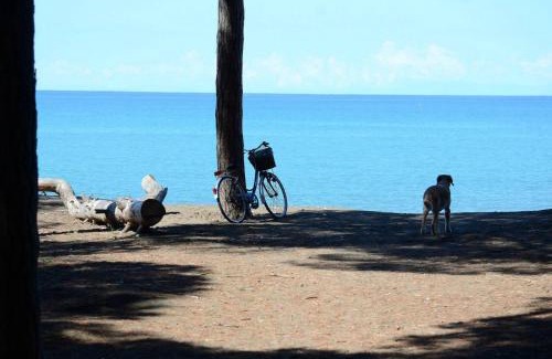 Montecatini Val di Cecina Apartment | Agriturismo San Maurizio Alto by ToscanaTour