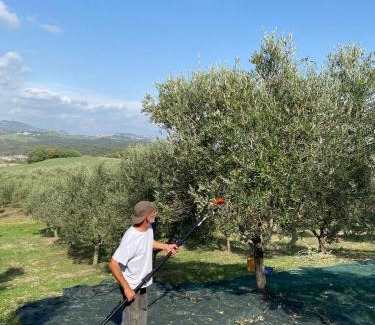 Pomarance House | Agriturismo Sant'Emilia