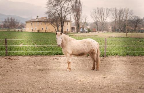 Protte House | Agriturismo Stovali Da Lustrinu