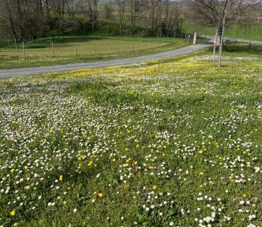 Castell'Arquato House | Agriturismo Villa San Lorenzo