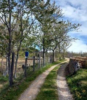 Fosciandora House | Agriturismo Zè del Pino