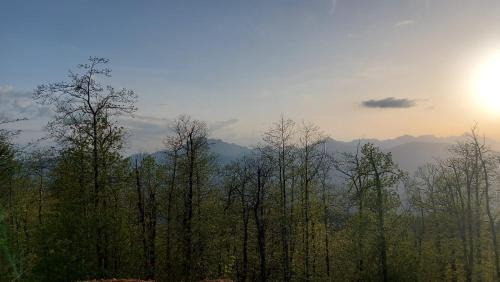 Fosciandora House | Agriturismo Zè del Pino