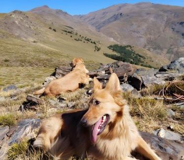 Niguelas Apartment | Aguas Calmas