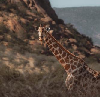 Omaruru Cabin | Ai Aiba - The Rock Painting Lodge