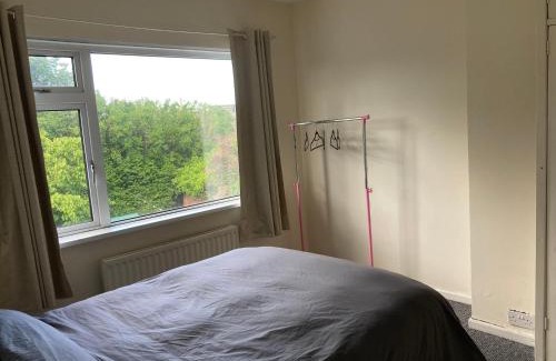 Ormeau Apartment | Ailes Apartment - Free parking