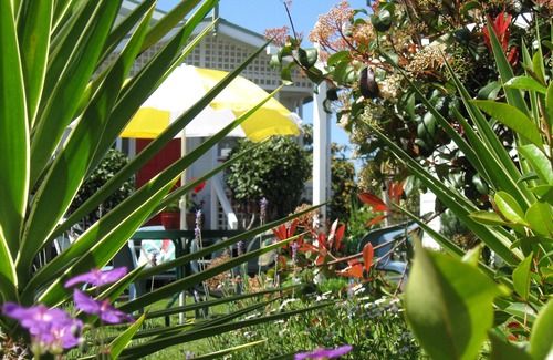 Okiato Apartment | Aimeo Iti Studio in subtropical garden, very quiet and close to beach and town