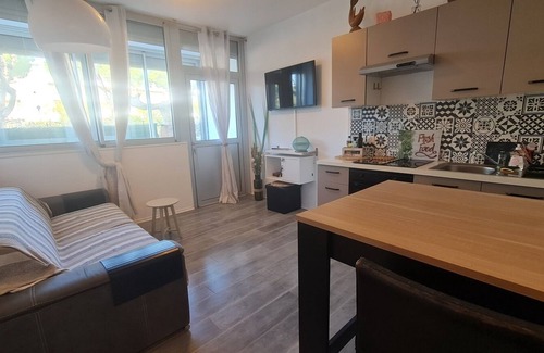Le Grau-Du-Roi Apartment | Air-conditioned ground floor with terrace, between beach and port. Pets allowed