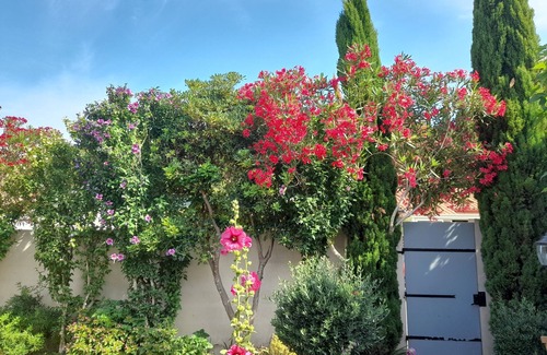 Armissan House | AIR CONDITIONED HOUSE IN ARMISSAN Narbonne with private pool.