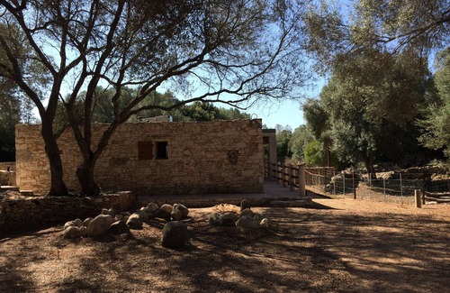 Bonifacio House | Air-conditioned stone house in Bonifacio amid century-old olive trees