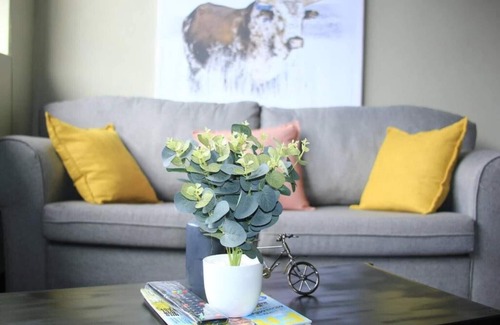 Downtown Johannesburg Apartment | Air: Fox on Maboneng