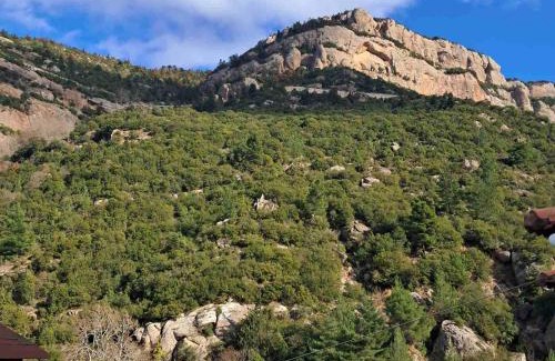 Kalavrita Apartment | Airb nb Zachlorou