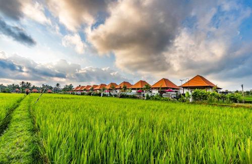 Sebatu Resort | Akshaya Resort Ubud