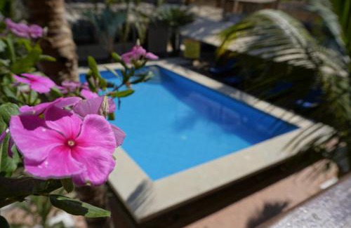 Mancora Hotel | Akumal Hotel