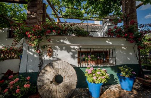 Padul House | Al Agia - Los Molinos de Padul