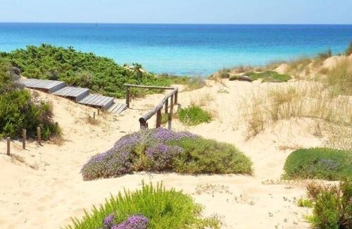 Campomarino di Maruggio Apartment | Al centro di tutto