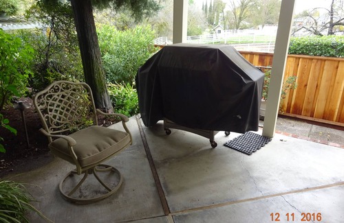 Alamo Cottage | Alamo Guesthouse Private and Secluded. Country living next to the city life.