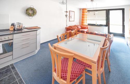 Kaprun Apartment | Alan Apartment in Kaprun - free SOMMER CARD - Top of Salzburg