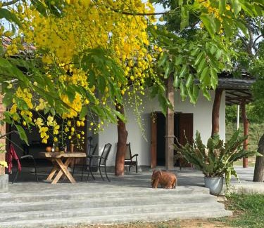 Kirinda Bed & Breakfast | Alay Lake - Yala