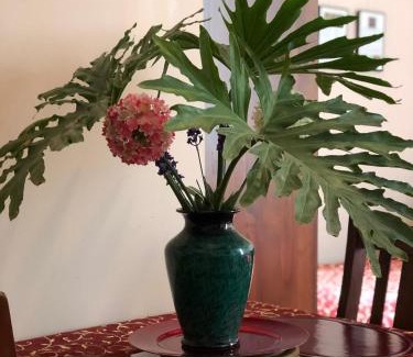 Albany Bed & Breakfast | Albany Foreshore Guest House