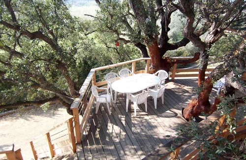 Oletta House | Albaria Lodge