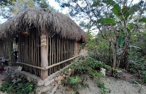 Francisco Uh May Bed & Breakfast | Aldea Yuyu