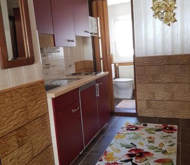 Mitterberg Apartment | Alexandra Appartement