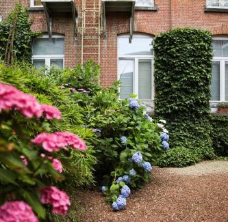 Blankenberge Hotel | Alfa Inn
