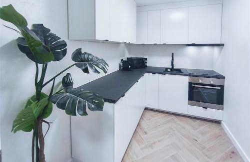 Stuttgart Apartment | ALFA Stuttgart Doppelzimmer Teeküche Porsche Bosch l Gemeinschaftsbad WIFI SmartTV l Terrasse l Double room with kitchenette and shared bathroom l Terrace BS21A4