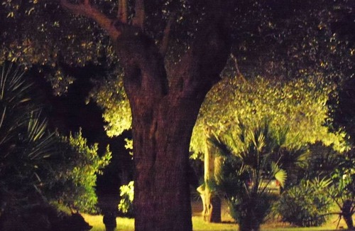 Alghero Apartment | Alghero apartment, in the countryside, "Mirto"