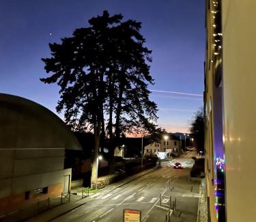 Ferney-Voltaire Apartment | Alicia apartment