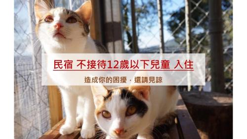 Fanlu Bed & Breakfast | Alishan Sunrise B&B