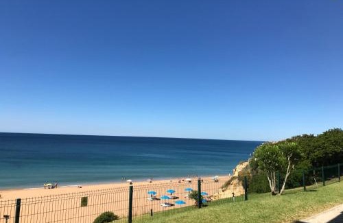 Calicos Hotel | Alisios