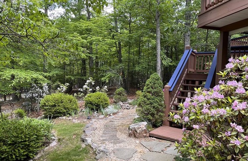 Massanutten House | All Decked Out: Peaceful Massanutten Resort Escape