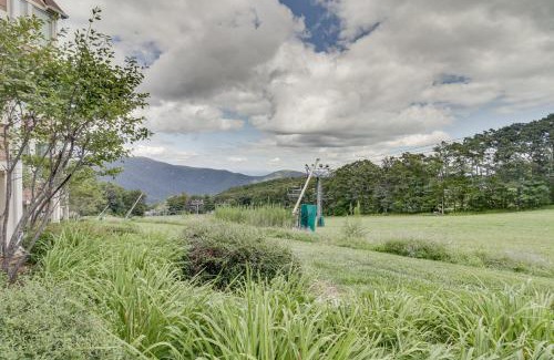Wintergreen Apartment | All-Season Fun! Wintergreen Resort Condo with Views