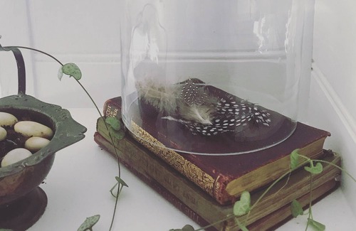 Mid-Coast Council House | Allambi - Tranquil, unspoilt escape PET FRIENDLY ON REQUEST