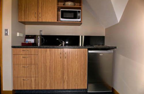 Dunedin City Centre Hotel | Allan Court Motel
