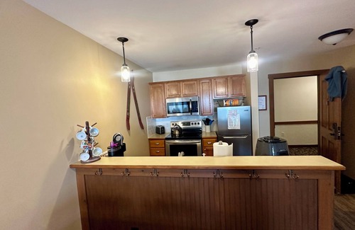 Snowshoe Condo | Allegheny Springs-Ski-in/Ski-out Mountain Oasis, Snowshoe WV