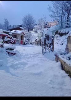 Mongnod Apartment | Alloggio al Centro di Torgnon