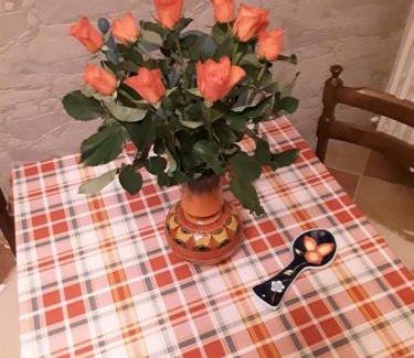 Fiuggi Apartment | Alloggio per uso Turistico da Margherita