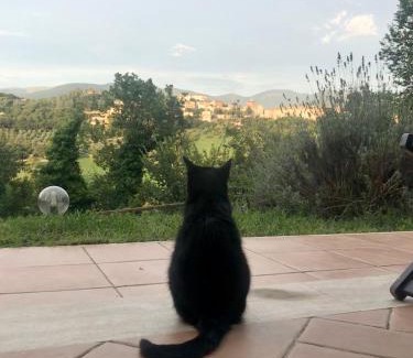 Terni House | Alloggio Rurale