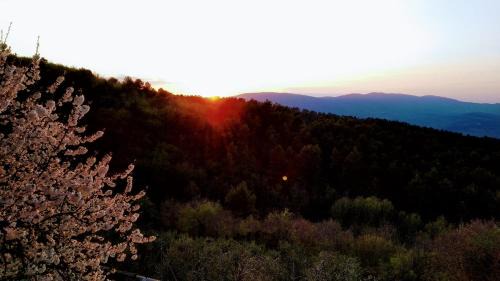 Montelirossi House | Alloggio turistico Montelirossi