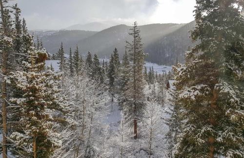 Alma House | Alma Home about 20 Mi to Breckenridge Mtn Views!